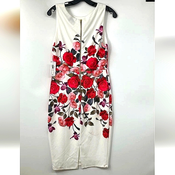 Brand New Floral Sleeveless Dress - Red and Pink Size 8 - Picture 5 of 12
